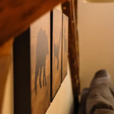 The Narrow Lane Μπρασόβ