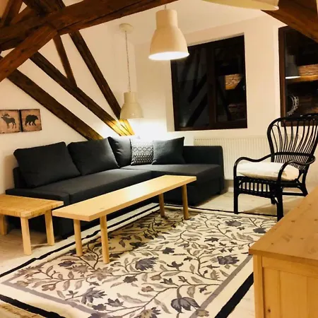 Apartamento The Narrow Lane Braşov