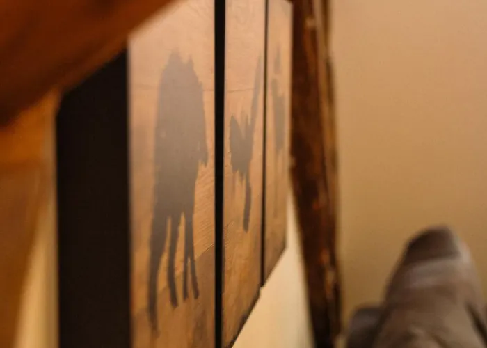 The Narrow Lane ブラショフ