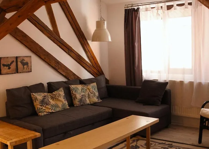 The Narrow Lane Apartment Brasov