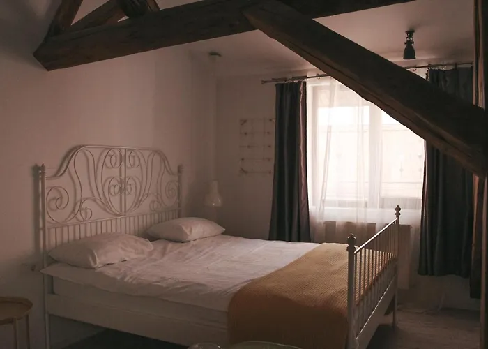 The Narrow Lane Brasov