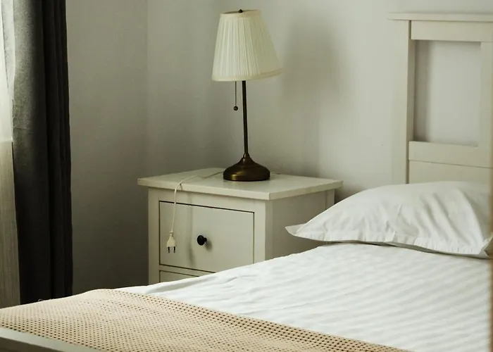 The Narrow Lane アパート ブラショフ