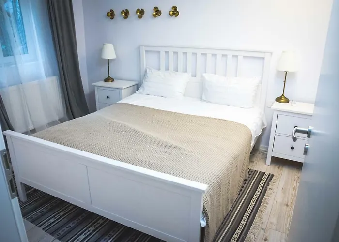 アパート The Narrow Lane ブラショフ